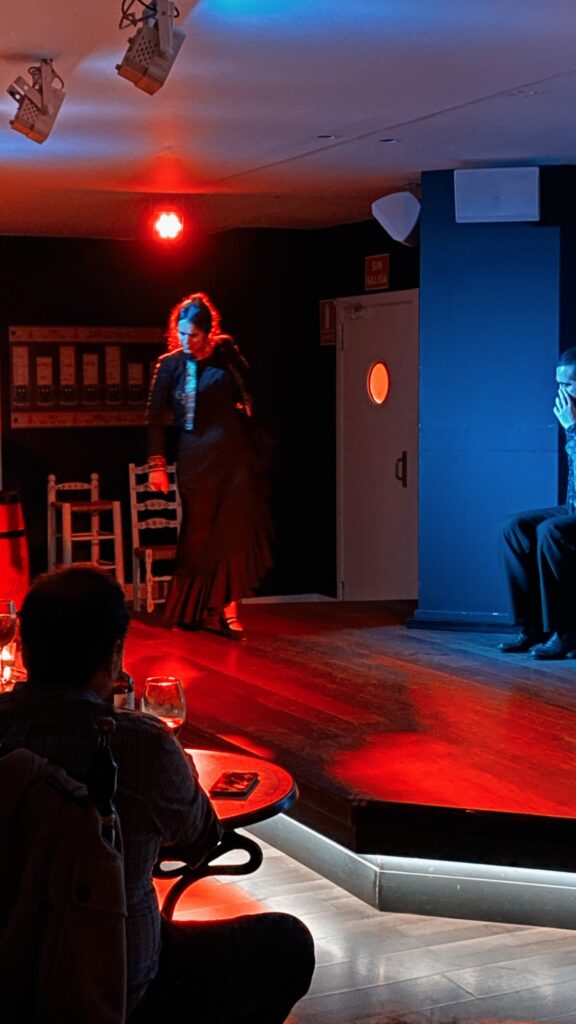 Ballerina di Flamenco a Malaga